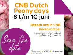 Highlighted image: CNB Dutch Peony days 2022